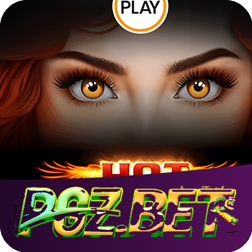 Verificação KYC PGZBET